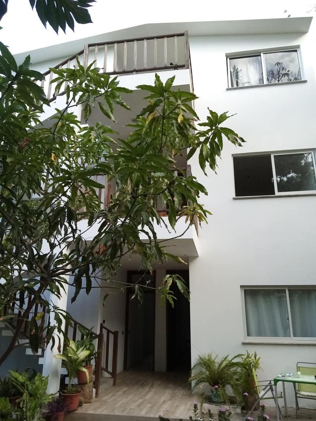 Отель Oasis Paul Residencial Номер фото